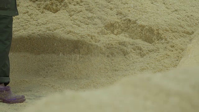 工人用铁锹收集木屑