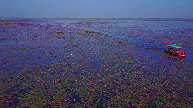 泰国，红莲海，乌东泰国。