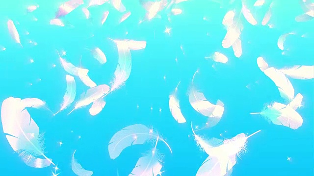 飞羽(循环)