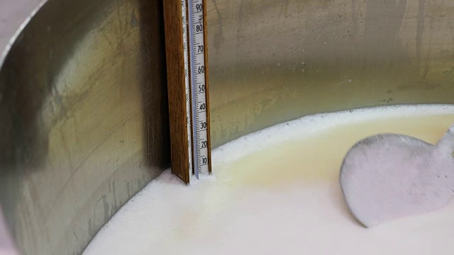 用温度计检查奶酪乳清的温度-奶酪工厂
