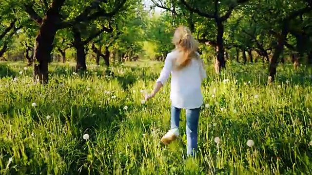 无忧无虑的金发女孩跑过老苹果园。替身拍摄