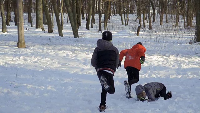 男孩们在冬天的公园玩雪