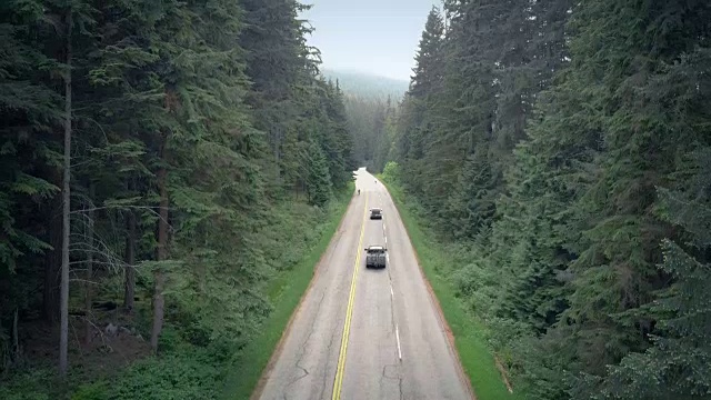 在森林路上骑自行车的人和汽车