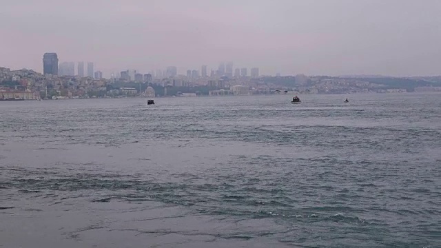 船只鲱鱼海岸
