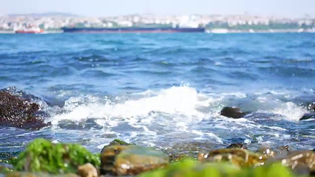 船只鲱鱼海岸