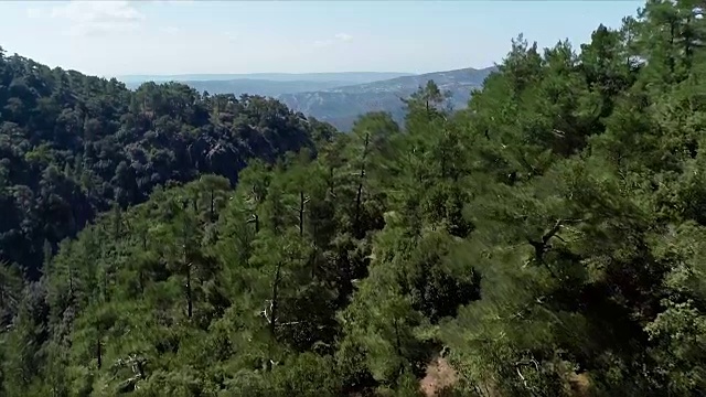 从空中从山上看。股票。俯瞰奇异的森林。美丽的热带森林在一个晴朗的日子