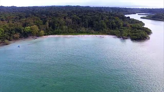 田园诗般的加勒比白色处女海滩，水上有棕榈树