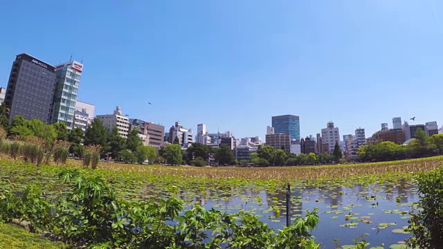 Shinobazunoike背景上的东京天际线