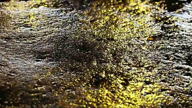 在潮湿的街道上，无缝的警示灯反射环