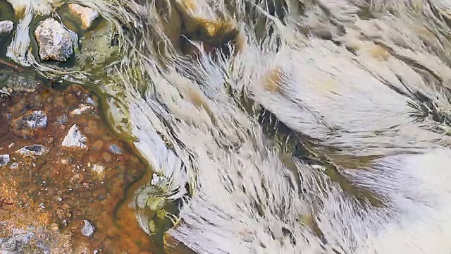 水下海藻