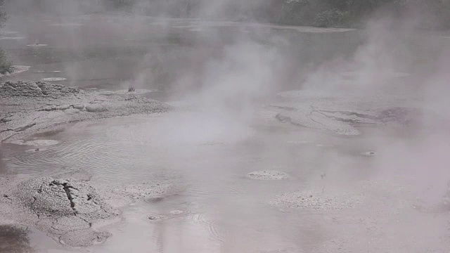 沸腾的泥浆池在罗托鲁瓦新西兰