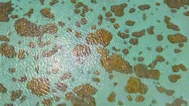 鸟瞰图的船只和游泳在碧绿的海洋里约热内卢do Fogo，巴西