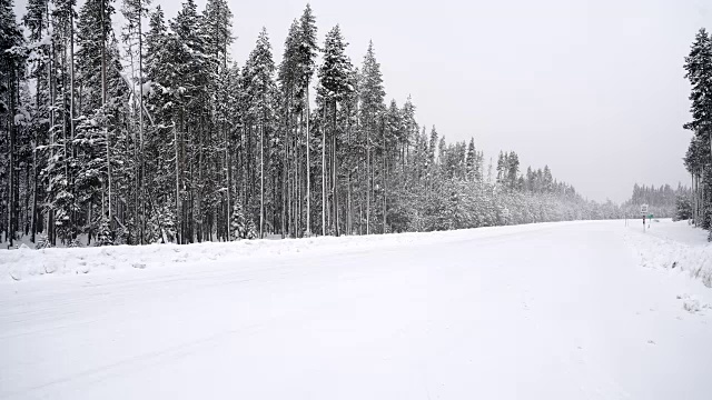 大雪期间，一辆汽车在森林路上经过