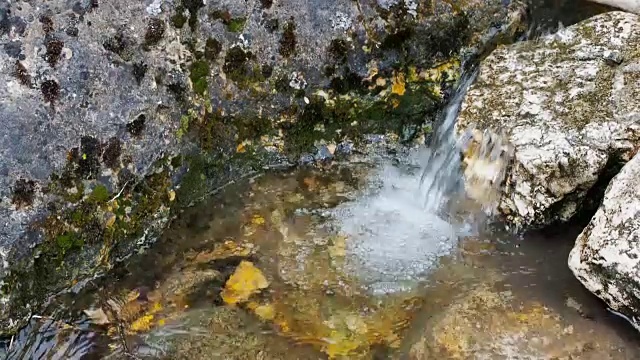 山间一条清澈的小溪。清水上升慢动作视频