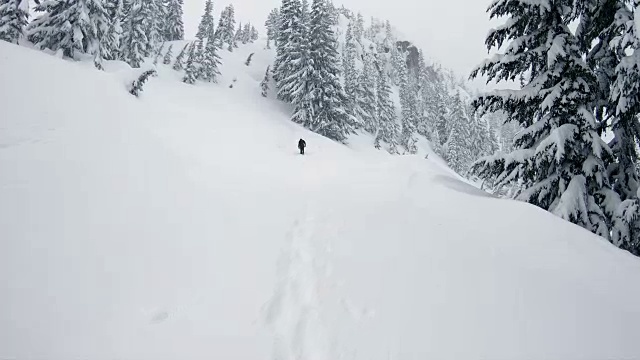 滑雪板徒步旅行的边远地区新鲜的粉末心情