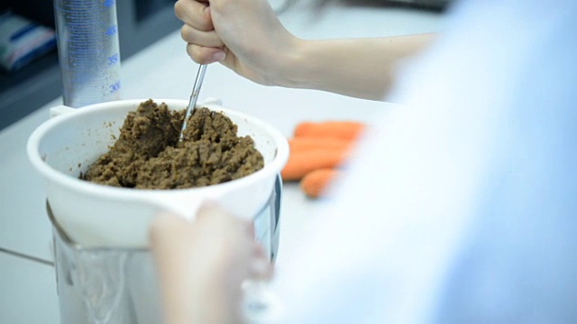 科学家的工作