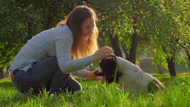 主人亲吻英国可卡犬