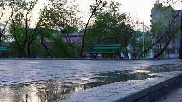 可爱的小女孩拿着五颜六色的雨伞在夕阳下穿过公园的水坑