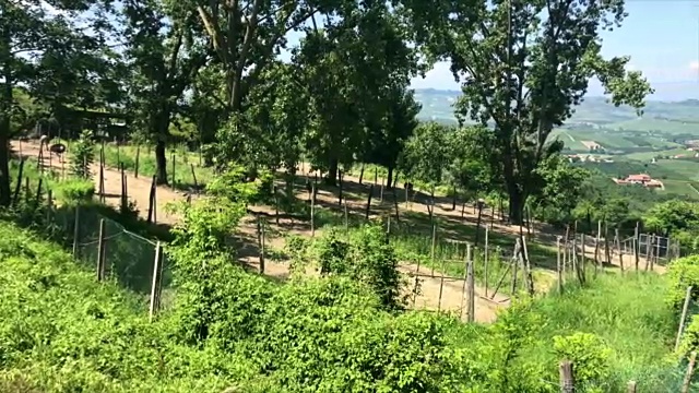 意大利皮埃蒙特朗赫地区的鸵鸟养殖场和皮托拉斯克小镇