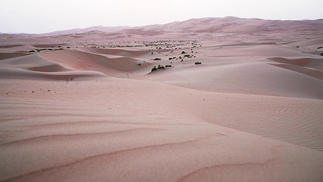 美丽的Rub al Khali沙漠在日落阿拉伯联合酋长国库存录像