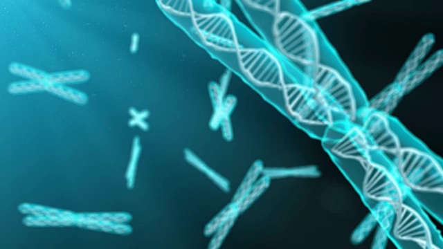 染色体遗传学研究在生物化学中对人类基因组DNA进行3d渲染