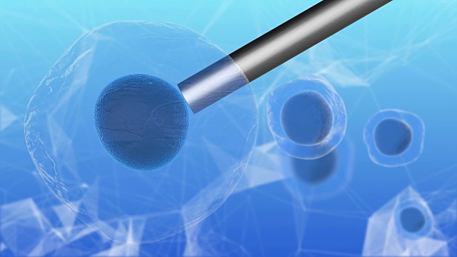 干细胞研究和生物技术科学为人类克隆3D渲染