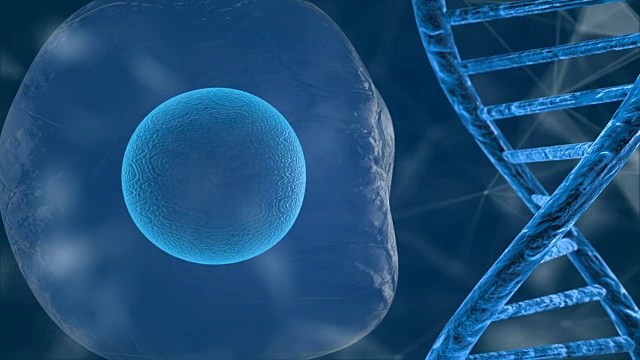 人类基因组图谱研究人类DNA和基因分子化学三维渲染