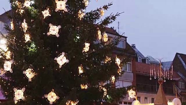 里加,拉脱维亚。传统圣诞树和贸易屋在圆顶广场冬夜
