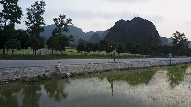 在越南山谷的稻田里飞来飞去