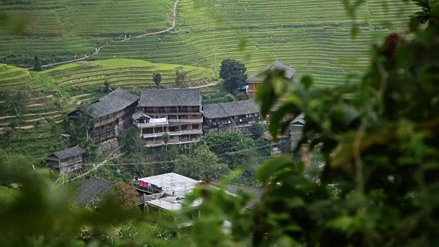 龙脊梯田