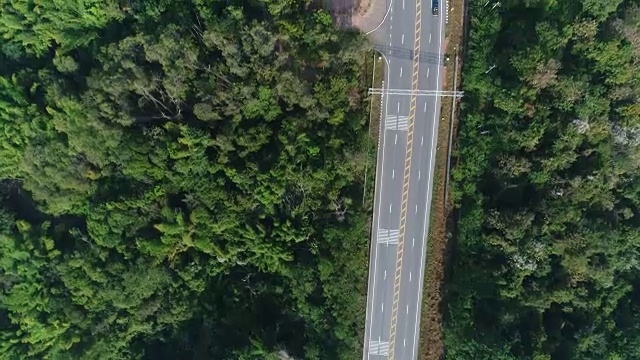 鸟瞰森林中的乡村道路