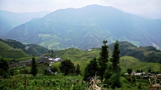 龙脊梯田