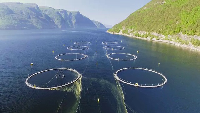 详情图-挪威渔场录像。碧海青山绿水。空中射击。前视图。