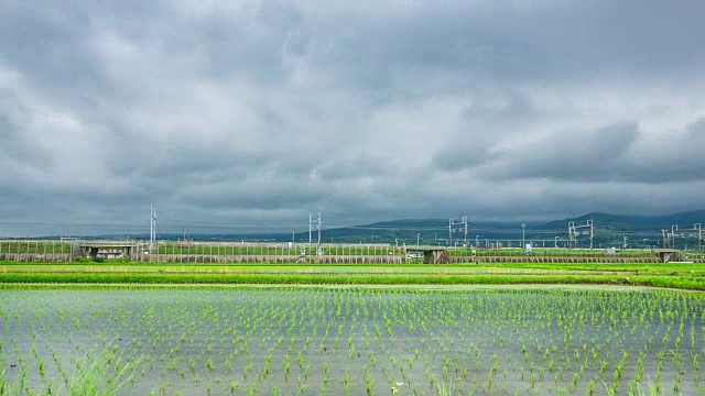 秧田、稻田和高速列車的延時(shí)