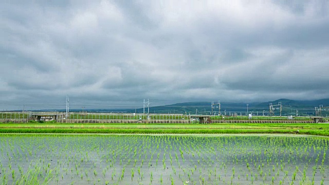 詳情圖-秧田、稻田和高速列車的延時(shí)