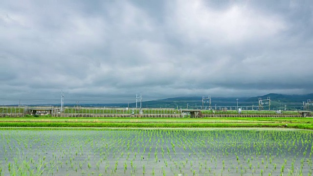 詳情圖-秧田、稻田和高速列車的延時(shí)