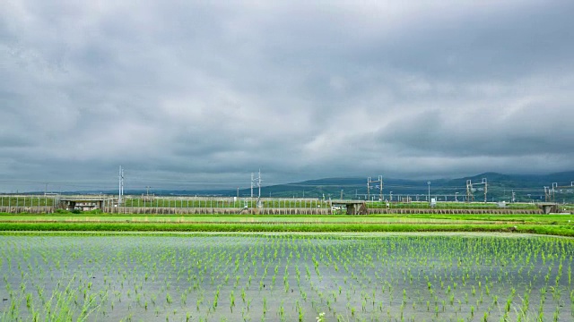 詳情圖-秧田、稻田和高速列車的延時(shí)