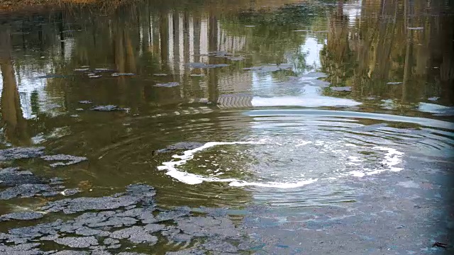 巨大的气泡在油田的湖面上破裂
