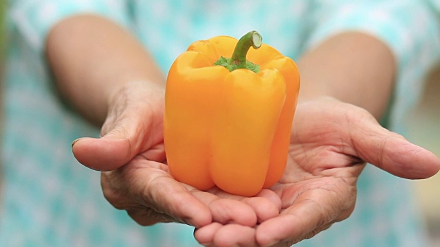 詳情圖-健康和食品高級婦女手上有新鮮蔬菜