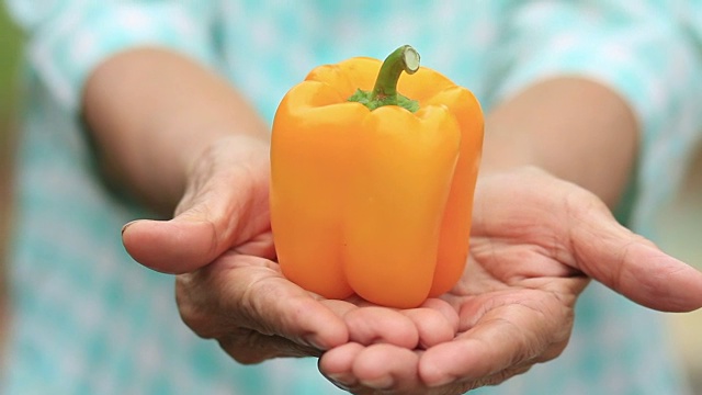詳情圖-健康和食品高級婦女手上有新鮮蔬菜