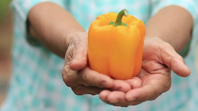 詳情圖-健康和食品高級婦女手上有新鮮蔬菜