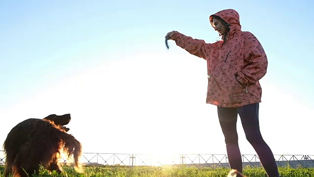 详情图-一个女人在公园里训练狗。小女孩戏弄木棍宠物，慢镜头