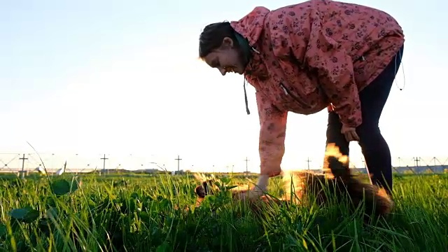 女人抓狗反射日落，宠物躺在草地上