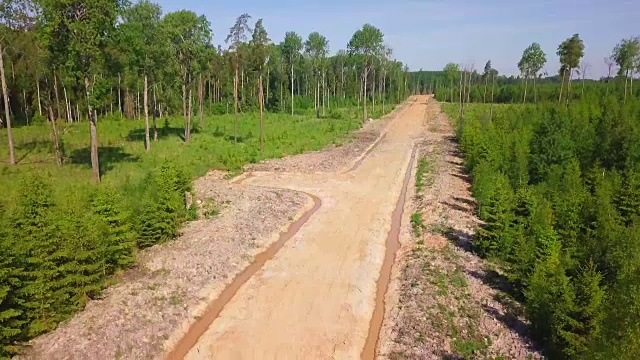 森林道路鸟瞰图