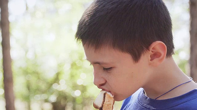 可爱的男孩开胃咬热棉花糖棒和微笑在树林在家庭野餐