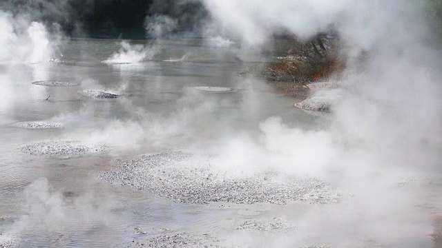 热泥浆池地热，新西兰