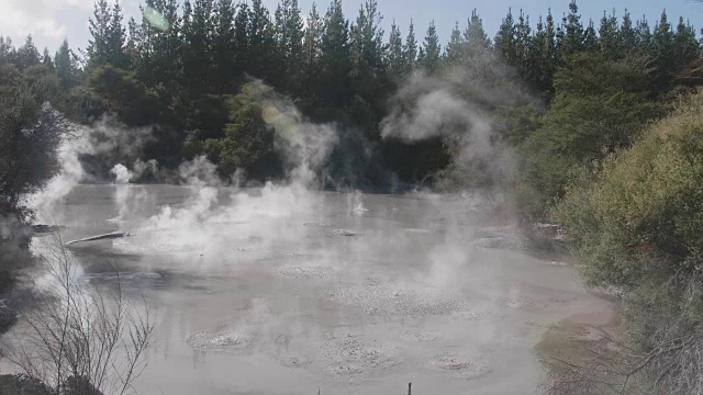 热泥浆池地热，新西兰