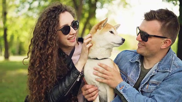 骄傲的狗主人漂亮的女孩和英俊的男孩正在和日本柴犬玩耍，亲吻它，挠它的毛在周末的公园里放松。人与动物的概念。