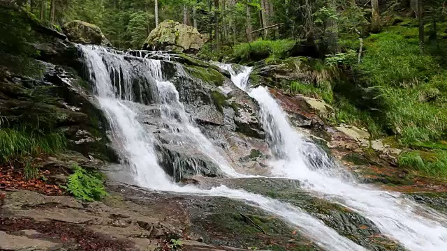 瀑布Riessloch,名胜。Bayerischer国家公园最大的瀑布。来自德国巴伐利亚的迷人风景。