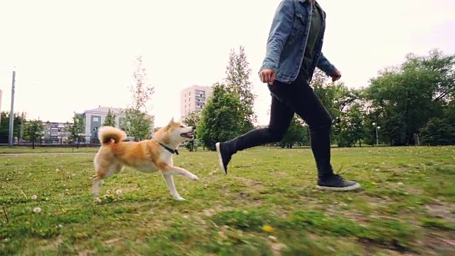 一个年轻的爱狗主人带着小狗在城市公园里奔跑的慢镜头，快乐的宠物享受着自由和自然。城市景观是可见的。